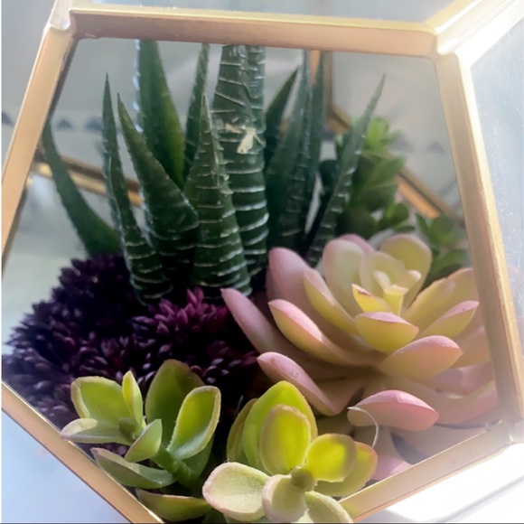 Gold Geometric Succulent Terrarium fake plant hobby lobby decor - Picture 3 of 6